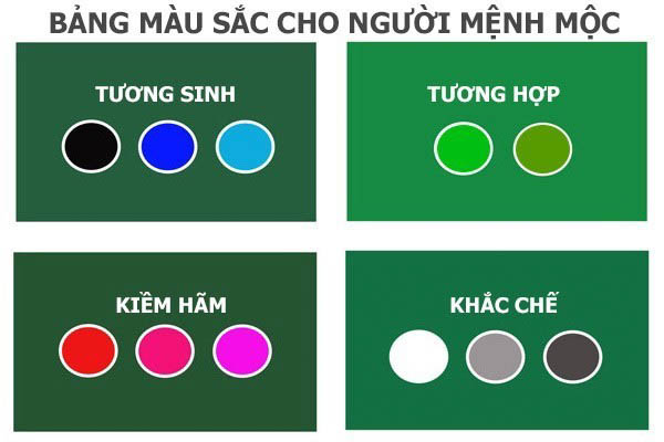 Lựa chọn màu sắc phù hợp cho chữ ký người mệnh Mộc