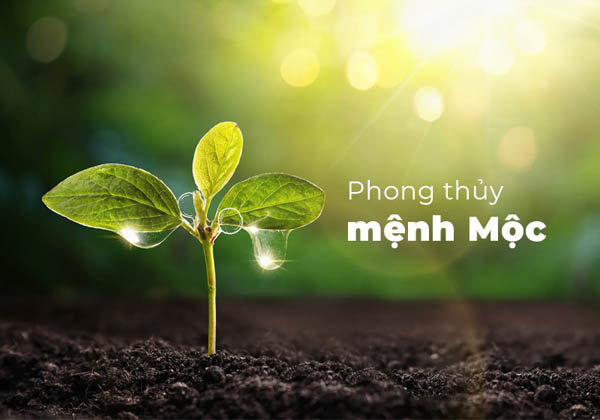 Mệnh Thổ và sự hài hòa với thiên nhiên