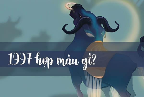 Lưu ý khi sử dụng màu sắc cho người mệnh Thủy 1997